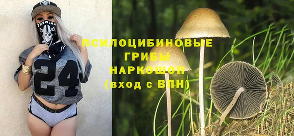 MDMA Premium VHQ Белокуриха