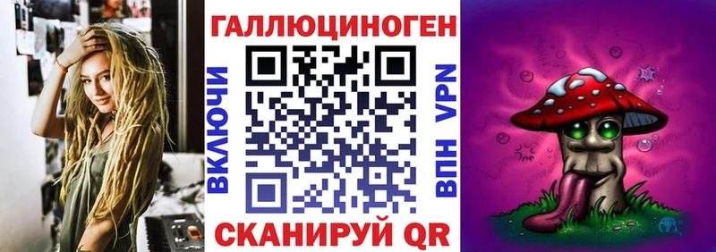 Псилоцибиновые грибы Psilocybine cubensis  Кондопога 